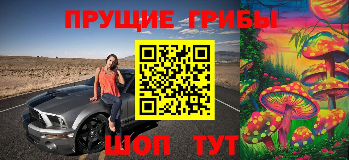 Галлюциногенные грибы Magic Shrooms  Вход с VPN  Серпухов  Псилоцибиновые грибы Psilocybe 