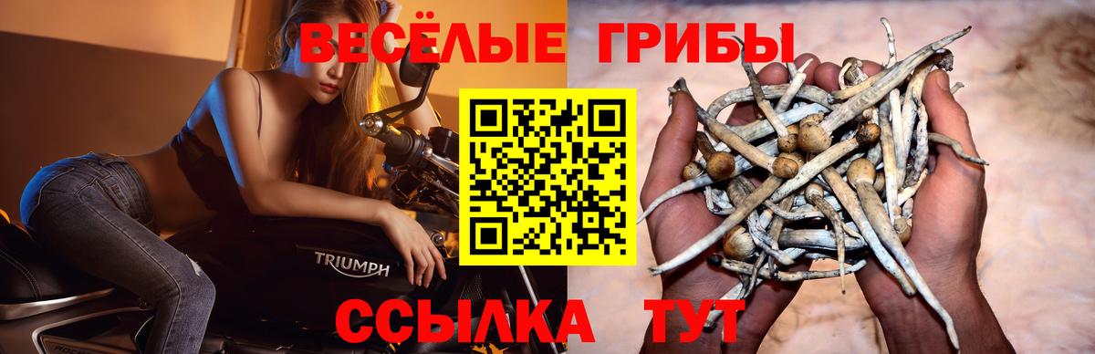 Галлюциногенные грибы мухоморы Серпухов